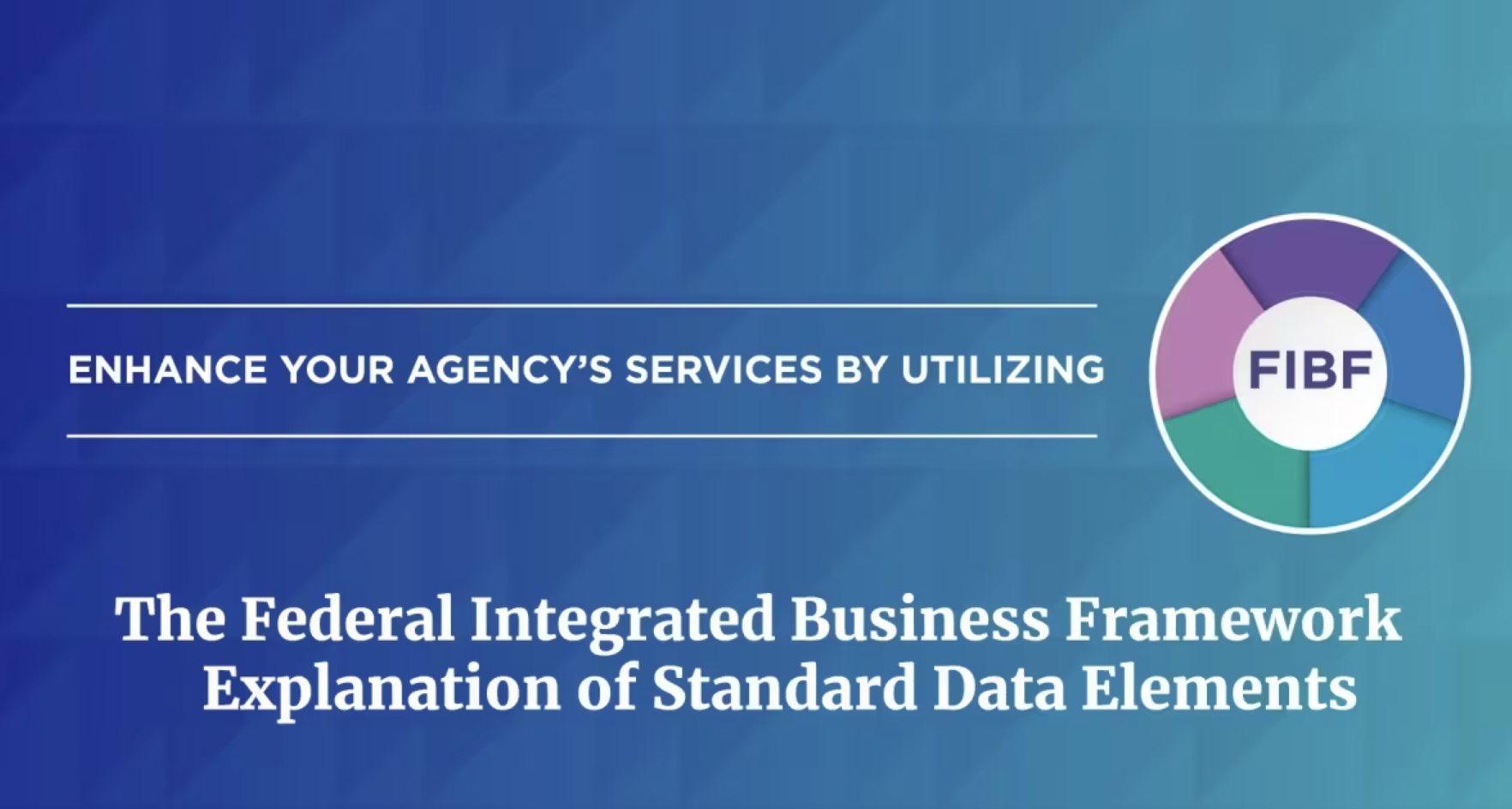 FIBF Business Stadard Data Element Image